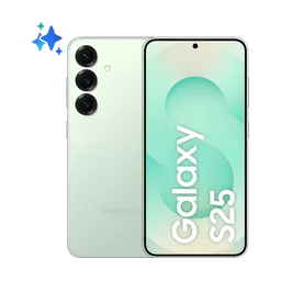 Samsung Galaxy S25