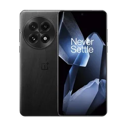 OnePlus 13
