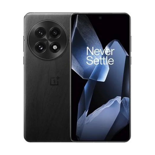 OnePlus 13