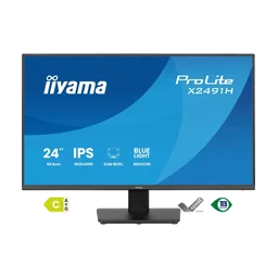 iiyama X2491H