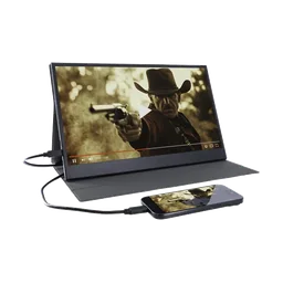 Denver PMO-15604