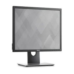 Dell P1917S