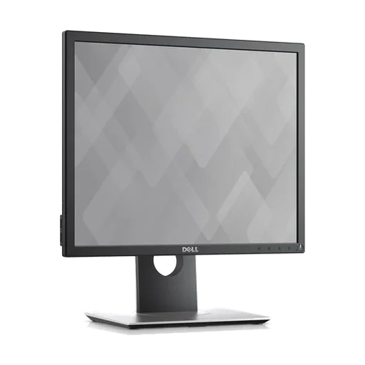 Dell P1917S