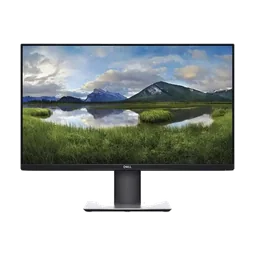 Dell P2419H