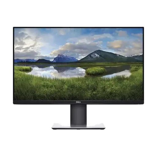 Dell P2419H