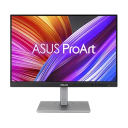 Asus PA248CNV