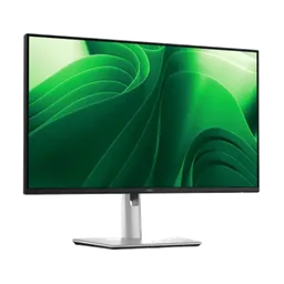 Dell P2425DE