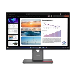 Lenovo P24q-40