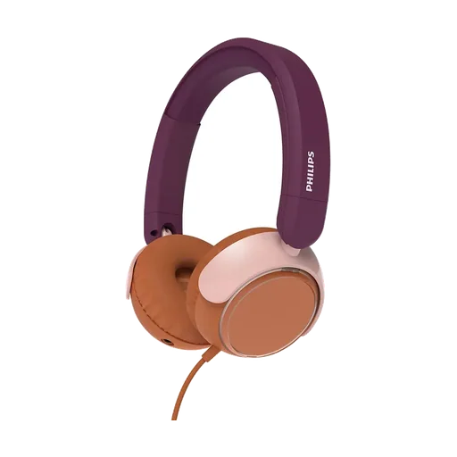 Philips TAK2000