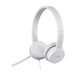 Lenovo 110 Stereo USB