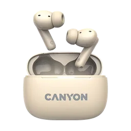 Canyon TWS-10
