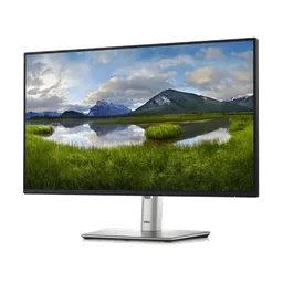 Dell P2425HEHF