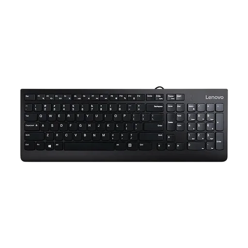 Lenovo 300