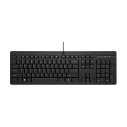 HP 125