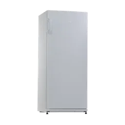 Snaigė F22SM-T1000E