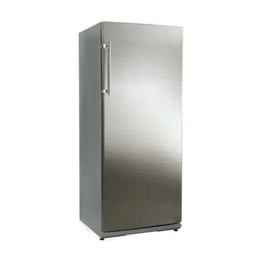Snaigė CF22SM-T1CB0E